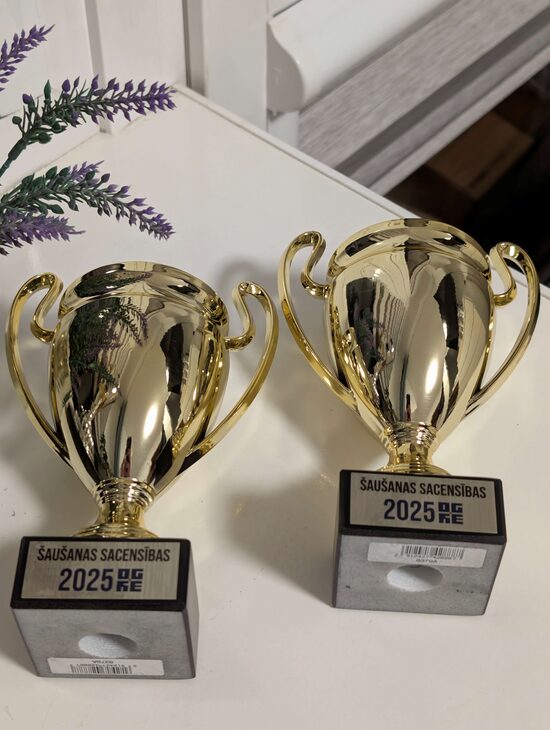 Klasiska Dizaina Kauss ar Rokturiem – Sērija 8378/8379